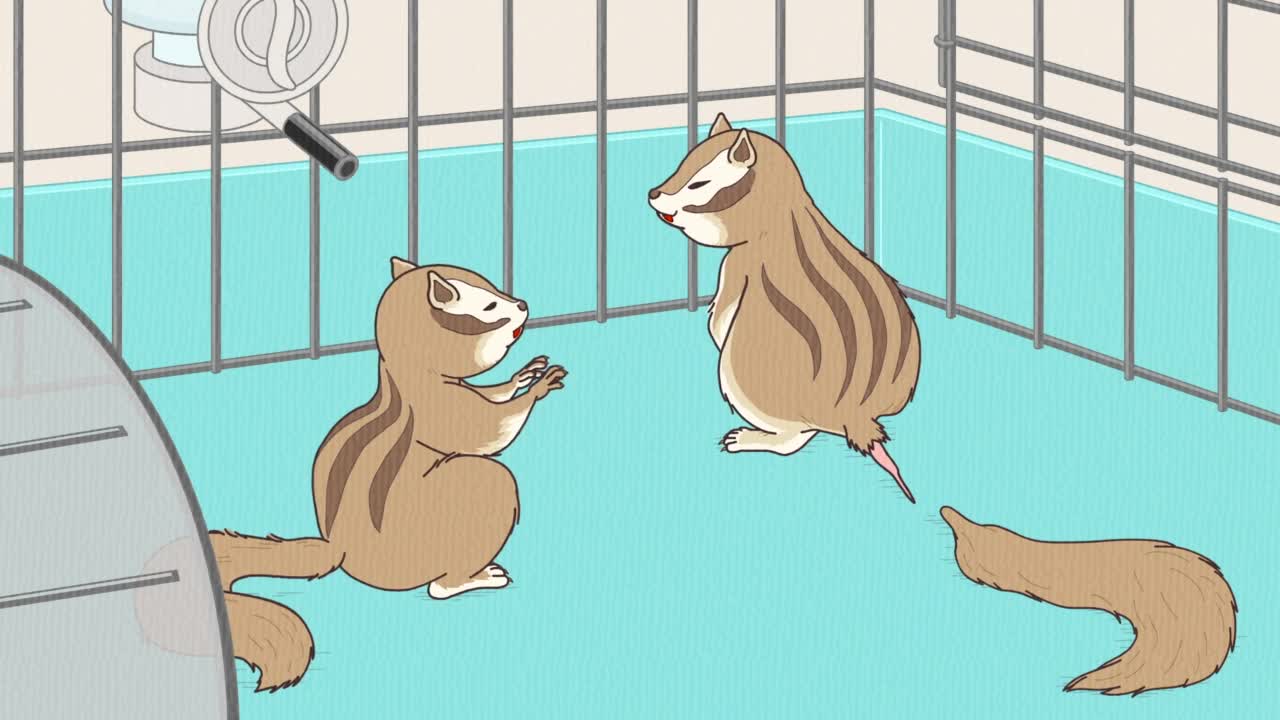 Постер аниме Энциклопедия жалких созданий: Спецвыпуски