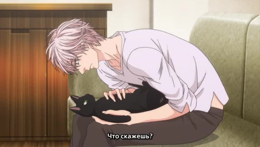 Постер аниме Шесть пар