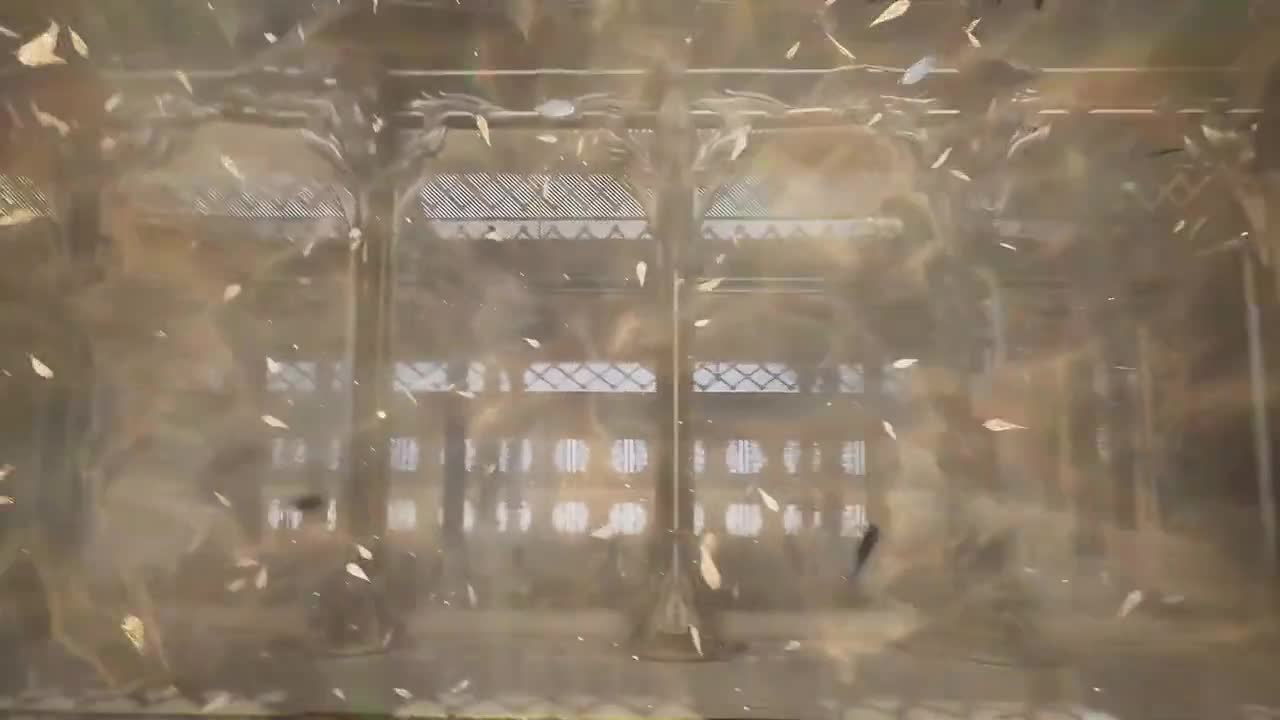 Постер аниме Окутывая небеса