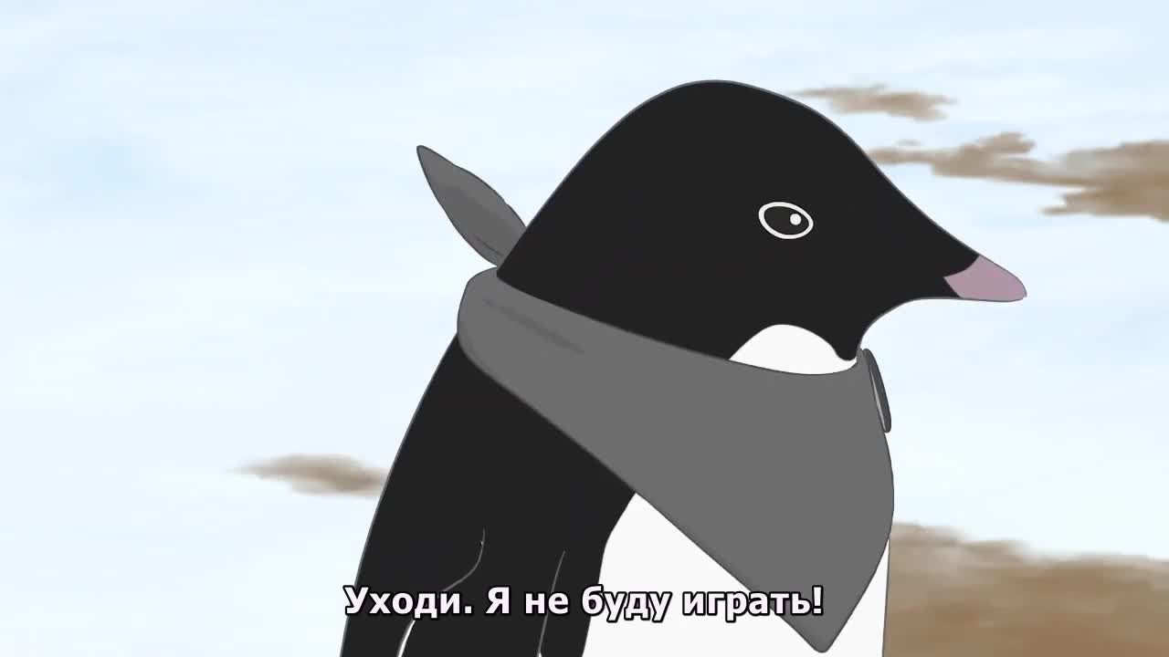 Постер аниме Цвета антарктических пингвинов
