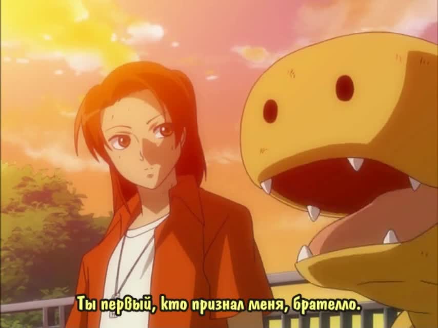 Постер аниме Хранители Дигимонов