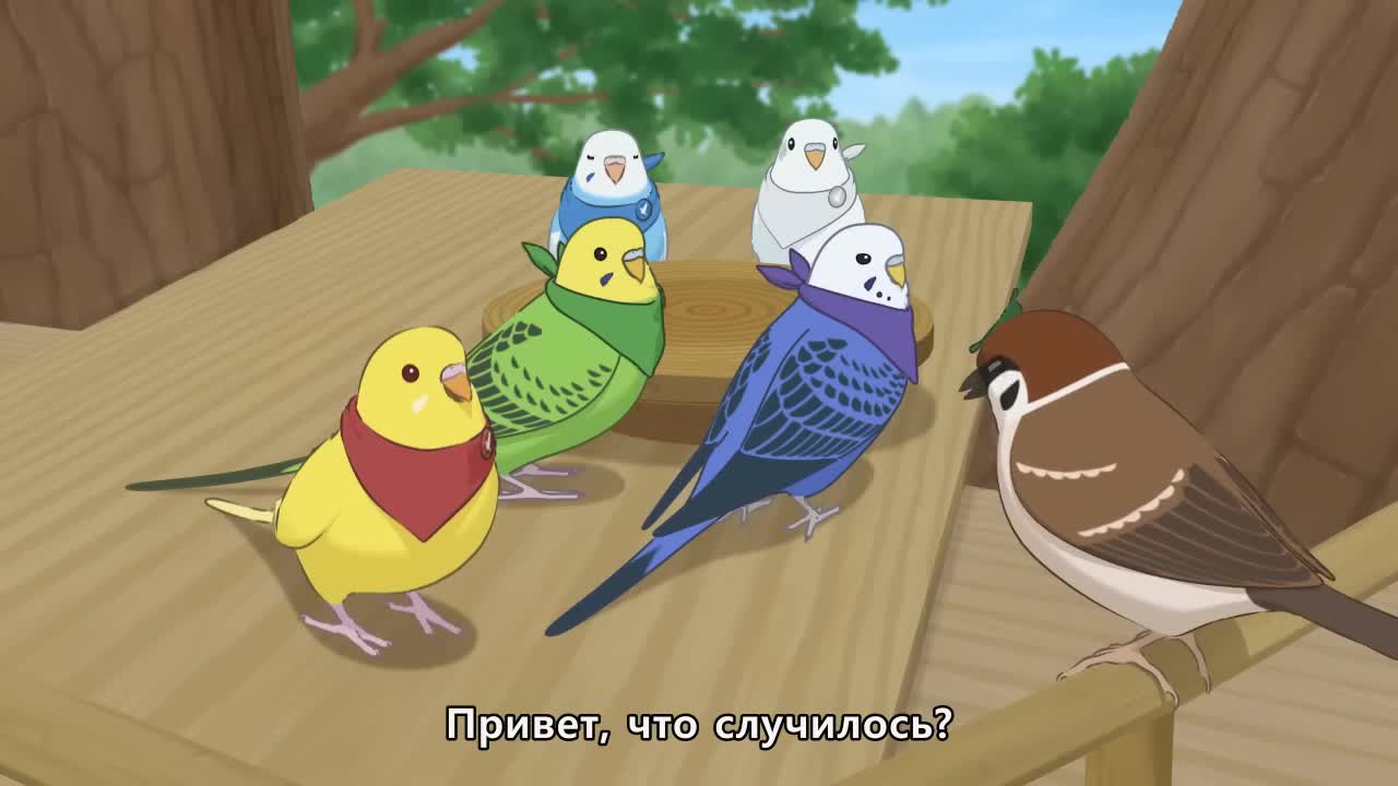 Постер аниме Разноцветные попугаи